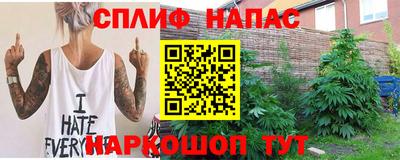 шишки Славгород