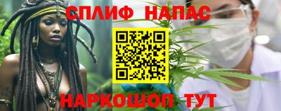 шишки Славгород