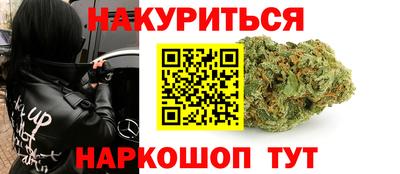 шишки Славгород