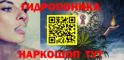 шишки Славгород