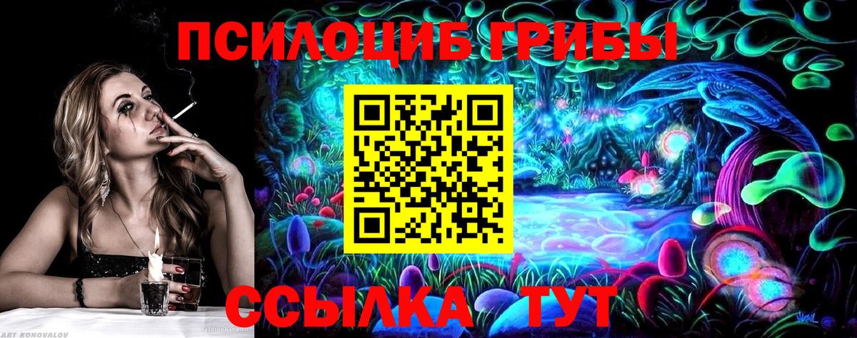 как найти наркотики  Галлюциногенные грибы Psilocybine cubensis  Вход с VPN  Оренбург 