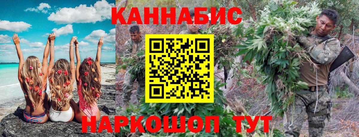Марихуана сатива Оренбург